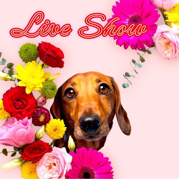 Please make sure to like this post to be notified when I go live - Picture 1 of 1